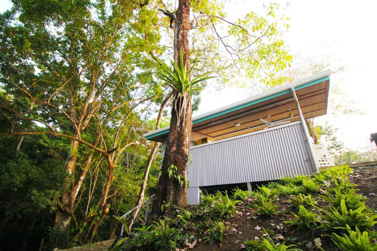 Teva Hotel & Jungle Reserve 曼努埃尔安东尼奥 外观 照片