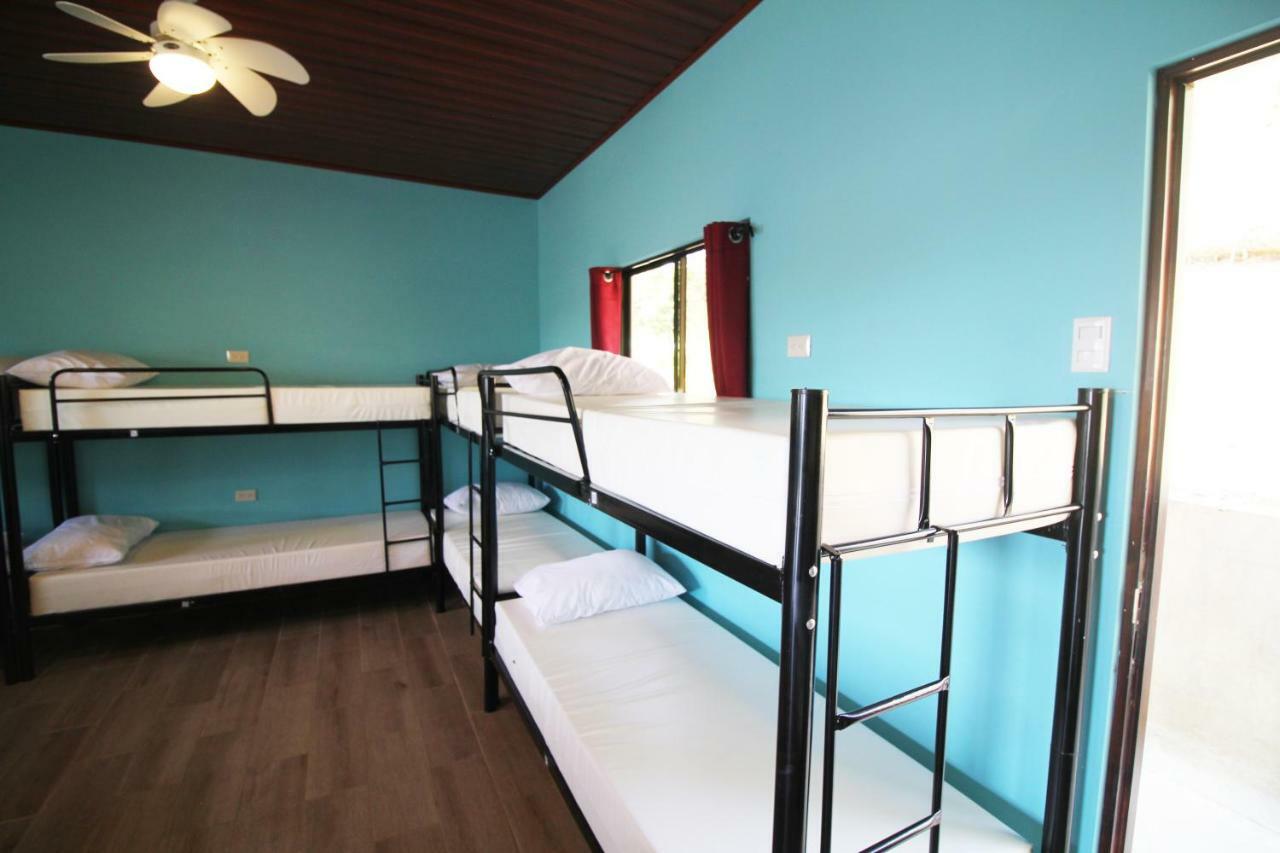 Teva Hotel & Jungle Reserve 曼努埃尔安东尼奥 外观 照片