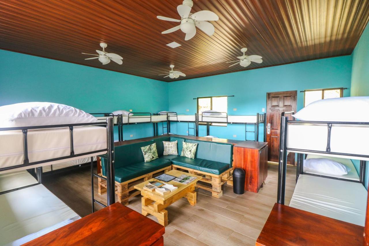 Teva Hotel & Jungle Reserve 曼努埃尔安东尼奥 外观 照片